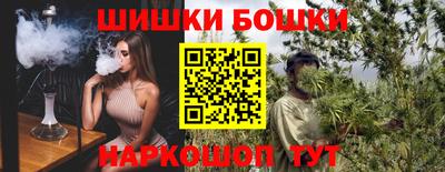 гидра Новодвинск