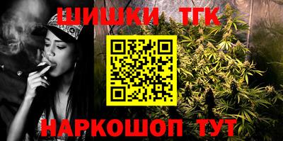 гидра Новодвинск