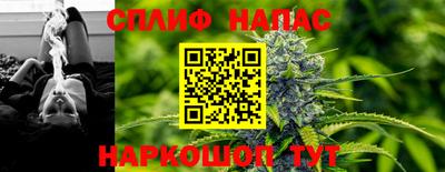гидра Новодвинск