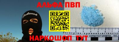 гидра Новодвинск