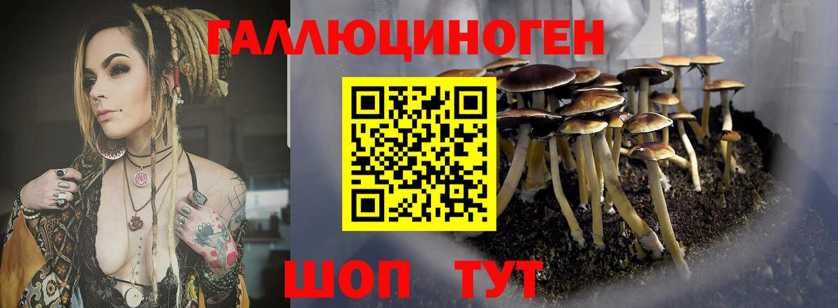 Псилоцибиновые грибы Magic Shrooms  Вход с VPN  Галлюциногенные грибы Psilocybine cubensis  Липецк 